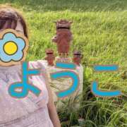 ヒメ日記 2024/12/13 09:48 投稿 福島 ようこ HANA-okinawa-