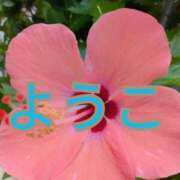 ヒメ日記 2024/12/15 12:21 投稿 福島 ようこ HANA-okinawa-