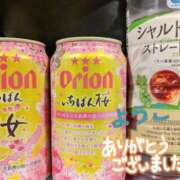 ヒメ日記 2024/12/17 16:48 投稿 福島 ようこ HANA-okinawa-