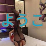 ヒメ日記 2024/12/19 09:06 投稿 福島 ようこ HANA-okinawa-