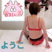 ヒメ日記 2024/12/20 13:15 投稿 福島 ようこ HANA-okinawa-