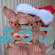 ヒメ日記 2024/12/21 21:51 投稿 福島 ようこ HANA-okinawa-