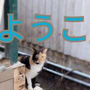 ヒメ日記 2024/12/23 09:36 投稿 福島 ようこ HANA-okinawa-