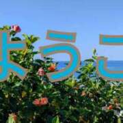 ヒメ日記 2025/01/03 09:06 投稿 福島 ようこ HANA-okinawa-