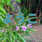 ヒメ日記 2025/01/22 13:51 投稿 福島 ようこ HANA-okinawa-