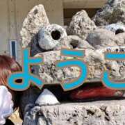 ヒメ日記 2025/02/28 09:57 投稿 福島 ようこ HANA-okinawa-