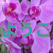 ヒメ日記 2025/03/07 08:27 投稿 福島 ようこ HANA-okinawa-