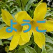 ヒメ日記 2025/03/09 08:39 投稿 福島 ようこ HANA-okinawa-