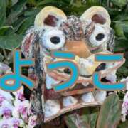 ヒメ日記 2025/03/10 08:18 投稿 福島 ようこ HANA-okinawa-