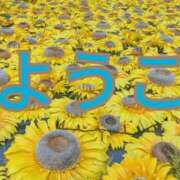 ヒメ日記 2025/08/26 09:36 投稿 福島 ようこ HANA-okinawa-