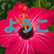 ヒメ日記 2025/08/31 07:33 投稿 福島 ようこ HANA-okinawa-