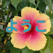 ヒメ日記 2025/09/01 07:12 投稿 福島 ようこ HANA-okinawa-