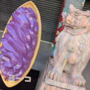 ヒメ日記 2025/11/30 12:33 投稿 福島 ようこ HANA-okinawa-