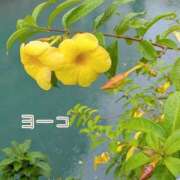 ヒメ日記 2025/12/01 14:33 投稿 福島 ようこ HANA-okinawa-