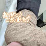ヒメ日記 2026/10/06 07:53 投稿 福島 ようこ HANA-okinawa-