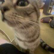 ヒメ日記 2025/08/15 13:38 投稿 ゆら ∞ (はっち)