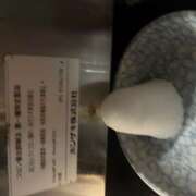 ヒメ日記 2025/09/12 00:38 投稿 ゆら ∞ (はっち)