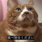 ヒメ日記 2025/09/18 01:16 投稿 ゆら ∞ (はっち)