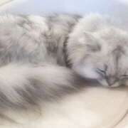 ヒメ日記 2025/09/28 20:11 投稿 ゆら ∞ (はっち)