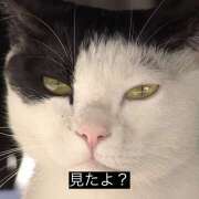 ヒメ日記 2025/09/29 00:02 投稿 ゆら ∞ (はっち)