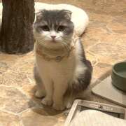 ヒメ日記 2026/03/16 21:19 投稿 ゆら ∞ (はっち)