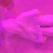 ヒメ日記 2026/09/12 22:26 投稿 ゆら ∞ (はっち)