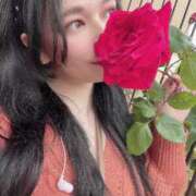 ヒメ日記 2025/12/09 17:55 投稿 VIVI(ビビ)【姉系コース】 CLUB CANDY（鳥栖店）