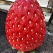 ヒメ日記 2025/06/07 16:31 投稿 りん 春日部人妻花壇