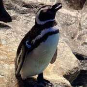 ヒメ日記 2025/07/09 02:51 投稿 りん 春日部人妻花壇