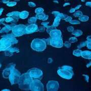 ヒメ日記 2025/07/22 10:21 投稿 りん 春日部人妻花壇