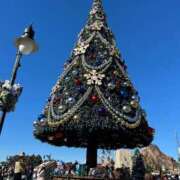 ヒメ日記 2024/12/25 17:16 投稿 ゆずは CUTE