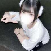 ヒメ日記 2026/02/12 16:20 投稿 ねこ 浜松ハンパじゃない学園