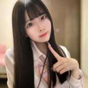 ヒメ日記 2026/02/28 19:50 投稿 ねこ 浜松ハンパじゃない学園