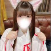 ヒメ日記 2026/03/02 11:20 投稿 ねこ 浜松ハンパじゃない学園