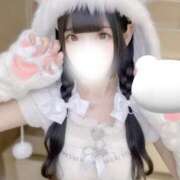 ヒメ日記 2026/03/04 20:20 投稿 ねこ 浜松ハンパじゃない学園