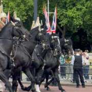 ヒメ日記 2025/12/30 15:50 投稿 ふわり すごいエステ池袋店