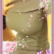 ヒメ日記 2025/04/07 15:45 投稿 こうき 小山人妻隊