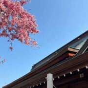 ヒメ日記 2025/12/15 14:39 投稿 樋口ゆあ Luxury（鹿児島）