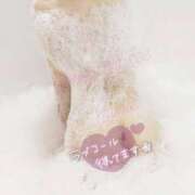 ヒメ日記 2025/03/13 21:15 投稿 ゆみ AVANCE福岡