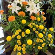 ヒメ日記 2025/05/01 11:29 投稿 【熟女】けいこ 人妻華道－上田店