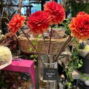 ヒメ日記 2025/10/13 08:51 投稿 【熟女】けいこ 人妻華道－上田店