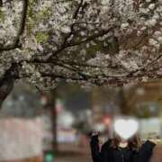 ヒメ日記 2025/04/08 12:47 投稿 かえで ベイキュート