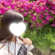 ヒメ日記 2025/05/02 12:47 投稿 かえで ベイキュート