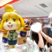 ヒメ日記 2025/06/24 12:47 投稿 かえで ベイキュート