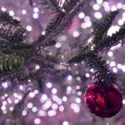 ヒメ日記 2024/12/25 22:00 投稿 まりな 素人系イメージSOAP彼女感大宮館