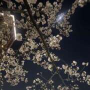 ヒメ日記 2025/04/07 22:31 投稿 まりな 素人系イメージSOAP彼女感大宮館