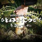 ヒメ日記 2025/05/01 10:06 投稿 まりな 素人系イメージSOAP彼女感大宮館