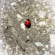 ヒメ日記 2025/05/05 13:41 投稿 すずか 素人巨乳ちゃんこ「東千葉店」