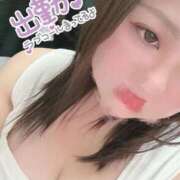 ヒメ日記 2025/11/24 12:59 投稿 とあ 浜松駅前ちゃんこ