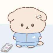 ヒメ日記 2025/01/08 12:05 投稿 ひなこ 萌えカワ